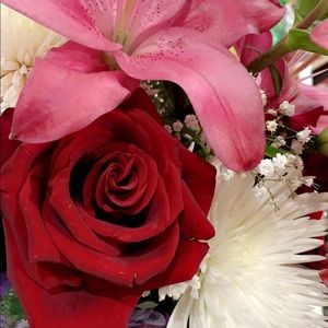 Meet your Posher, Alejandra